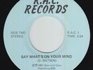 Modern Soul 45 - D. Watson - Say What's On Your Mind - R.A.C. - VG++ mp3 rare