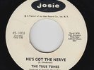 Northern Soul 45 - True Tones - He's Got The Nerve - Josie - VG+ mp3