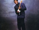 Robert Cray / Strong Persuader - Vinyl LP 200g audiophil Quality Records