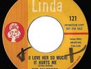 Northern Majestics - I Love Her So Much It Hurts Promo