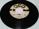 RARE NEW ORLEANS R&B 45 RIC 969 EDDIE BO EVERY DOG GOT HIS DAY NORTHERN SOUL