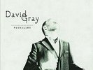 David Gray - Foundling