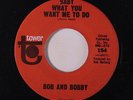BOB & BOBBY: Baby What You Want Me To Do / Twelve-o-four 45 Rock & Pop