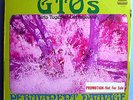 FRANK ZAPPA+GTO'S PERMANENT DAMAGE MEGA-RARE ORIG'69 WHITE LABEL PROMO LP w/BOOK