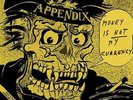 Appendix Money Is Not My Currency Rock-O-Rama Records Vinyl LP