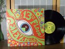 THE 13TH FLOOR ELEVATORS LP 