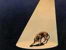 RINO GAETANO - VINILE 12