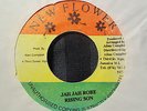 Rising Son Jah Jah Robe Killer Roots 7