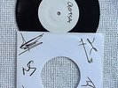 Queens Of The Stone Age signed 7
