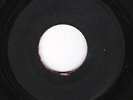 ROCK STEADY KILLER - FALCON PRINCE - DO THE SCREW / CALAMITY - BLANK  -  LISTEN