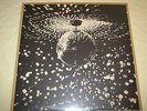 NEIL YOUNG   MIRROR BALL   