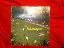 The Flamingos - 1959 - Black Checker Label - Hi-Fi  LP1433 Vinyl Lp Unplayed NM