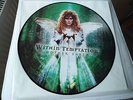 WITHIN TEMPTATION limited Picture Vinyl LP Mother Earth (2003)