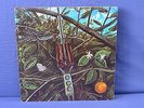 Dragonfly ?– Dragonfly, NM, Vinyl LP, EXTREM RAR US 1969