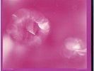 CRAIG KUPKA Crystals New Music for Relaxation 2 VINYL LP RARE