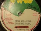 Wailing Soul Fool Will Fall Killer Roots 12