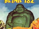 Buddha (Re-Issue) - Blink 182 - LP VINYL - Fast UK Post