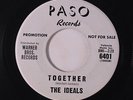 IDEALS: Together / What's The Matter With You Sam 45 (dj, xol) Vocal Groups