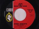 BOBBY ROBERTS & RAVONS: How Can I Make Her Mine / I'm In Love Again 45 (dj) rar