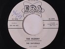 NATURALS: The Mummy / Don't Send Me Away 45 (dj, #ol) rare Vocal Groups
