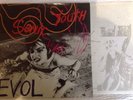 SONIC YOUTH EVOL 1986 VINYL BLAST FIRST NM CONDITION