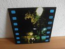 LITTLE FREE ROCK SAME LP IN MINT CONDITION TOP RARITY