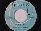 ROBIN HOOD BRIANS: Dis A Itty Bit / Without You 45 rare Rockabilly