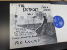 THE DETROIT FOLK SCENE ted lucas marc chover andy cohen PRIVATE folk psych LP NM