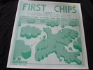 FIRST CHIPS Volume 1 1972 CRUDE TEEN LO-FI GARAGE PUNK PSYCH LP Yes steal LISTEN