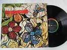 LP  The Beach Boys  