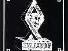 DISQUE 33T EVIL SKINS 1987 UNE FORCE UNE CAUSE UN COMBAT