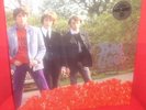 BEE GEES Studio Albums 6 lp  vinyl box set 1st Idea Horizontal barry gibb robin