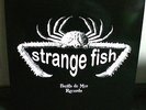 STRANGE FISH Box: 6 col. Vinyl LPs + 1 CD + 1 Single...Fruits de Mer..lim. Ed.