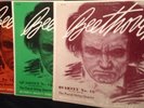 14X Concert Hall Beethoven The Complete String Quartets-VG-CHS 1201-1213 1215