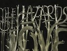The Decemberists - The Hazards Of Love Vinyl 2LP NEU