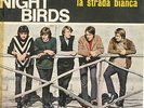 THE NIGHT BIRDS  FIRST 45 LA STRADA BIANCA 1966 FREAK SWISS BEAT IN PS