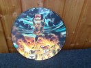 IRON MAIDEN Picture LP Selten Sammler DEKO Holy Smoke
