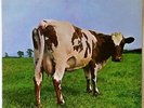 Atom Heart Mother  by Pink Floyd