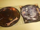 RARE Megadeth Th1rt3en Vinyl Picture Disc Double LP Record Mustaine Thirteen 13