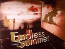 FENNESZ - Endless Summer - gatefold 2xLP