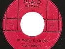 Rockabilly 45 ALAN RIDDLE 