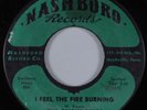 Black Gospel 45 BRIGHT STARS I Feel the Fire Burning NASHBORO HEAR