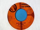 Bobby O’ Brown - I Can Feel My Love Growing - 70’s Sweet Soul Lowrider Ballad 45