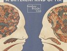 Bombay Bicycle Club - Different Kind Of Fix [Vinyl New]