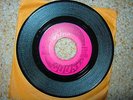 West Coast Natural Gas - Garage Psych - Rare - Go Run & Play w/ A Favor - NM