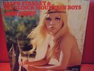 cheesecake jacket RALPH STANLEY&THE CLINCH MOUNTAIN BOYS JAPAN LP