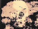 THE UNDERGROUND YOUTH - BEAUTIFUL & DAMNED  VINYL EP NEUF