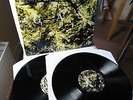 GAS (WOLFGANG VOIGT)   original  Vinyl 2LP   Pop (2000) - Mille Plateaux