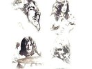LED ZEPPELIN BBC SESSIONS  4 LP BOX SET SEALED