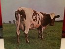 Pink Floyd Vinyl LP atom heart mother smas-382